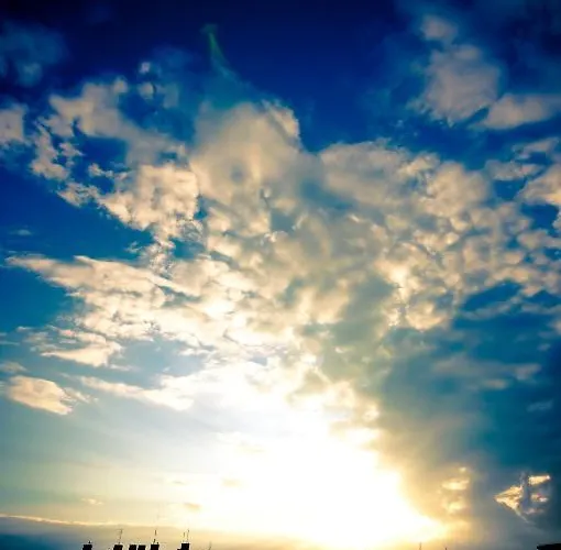 Bed & Breakfast Cilantro 3*